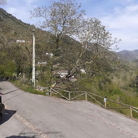 Aparatamento Rural El Oso 3 Pola de Somiedo Luaran gambar