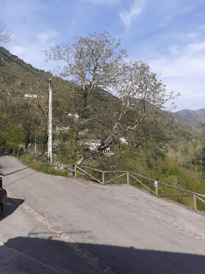 Aparatamento Rural El Oso 3 Pola de Somiedo Luaran gambar